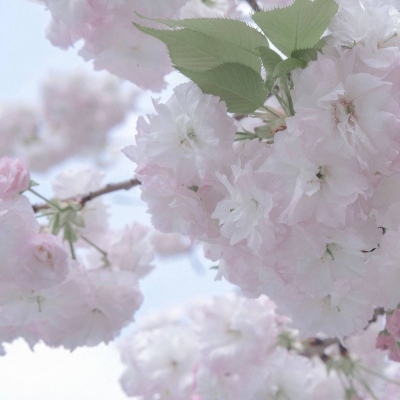 兽设场景透视教程Furry群